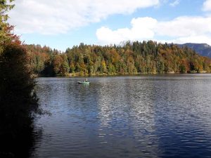 Gesund bleiben: Tipps für ein starkes Immunsystem
