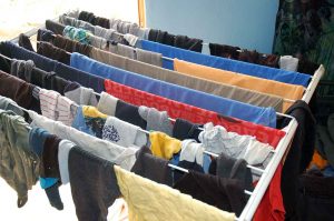 Gesund bleiben: Tipps für ein starkes Immunsystem