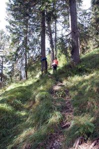 Mit Kindern raus in die Natur - Wanderung zur Walderalm