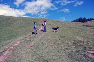 Mit Kindern raus in die Natur - Wanderung zur Walderalm