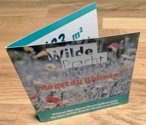 Blumen vom Feld als Blühstreifen verschenken mit Wilde Pracht