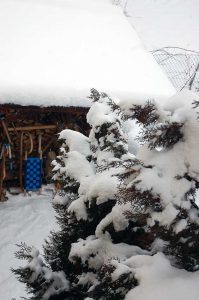 Homeschooling & Homeoffice