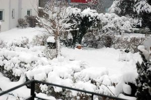 Homeschooling & Homeoffice