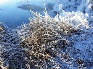 Baggersee Winter