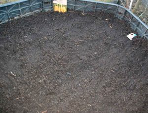 Gemüse aussäen im März