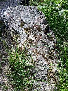 Familienurlaub in Innsbruck