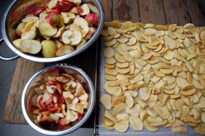 Zwetschgen und Äpfel einmachen