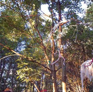 Gans Anders Festival mit Kindern