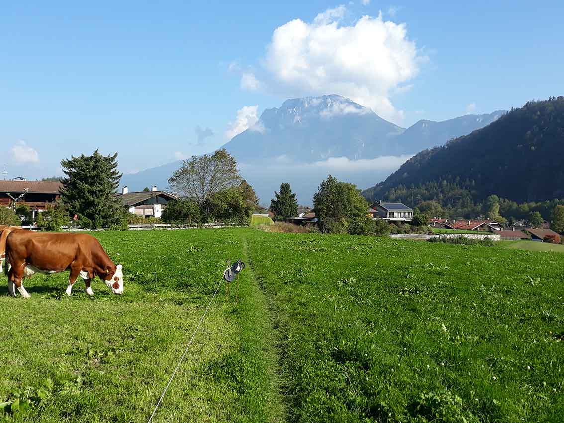 Kieferer Herbstspaziergang in der Natur, durch Felder und Wiesen, zur Entspannung und Vorbeugung von Stress und Hungergefühlen