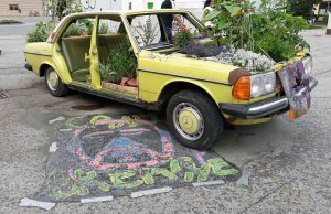 nachhaltig leben in Innsbruck