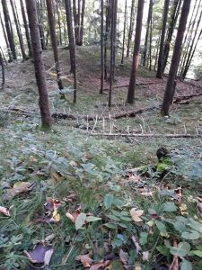 Kieferer Herbstspaziergang