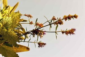 Räuchersticks im Oktober selbst herstellen
