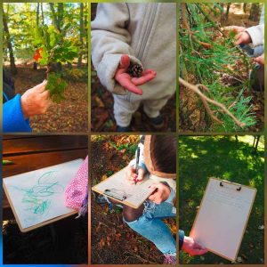 Waldpädagogik in Rheinland Pfalz