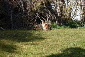 Achtsamkeitsübungen