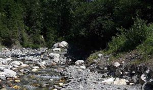 Bergwaldprojekt Sölktäler