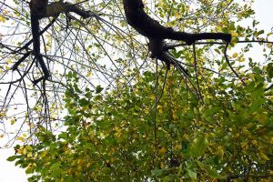 Herbst & Garten mit Kinderaugen