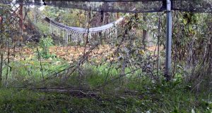 Herbst & Garten mit Kinderaugen