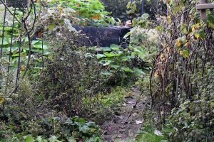 Herbst & Garten mit Kinderaugen