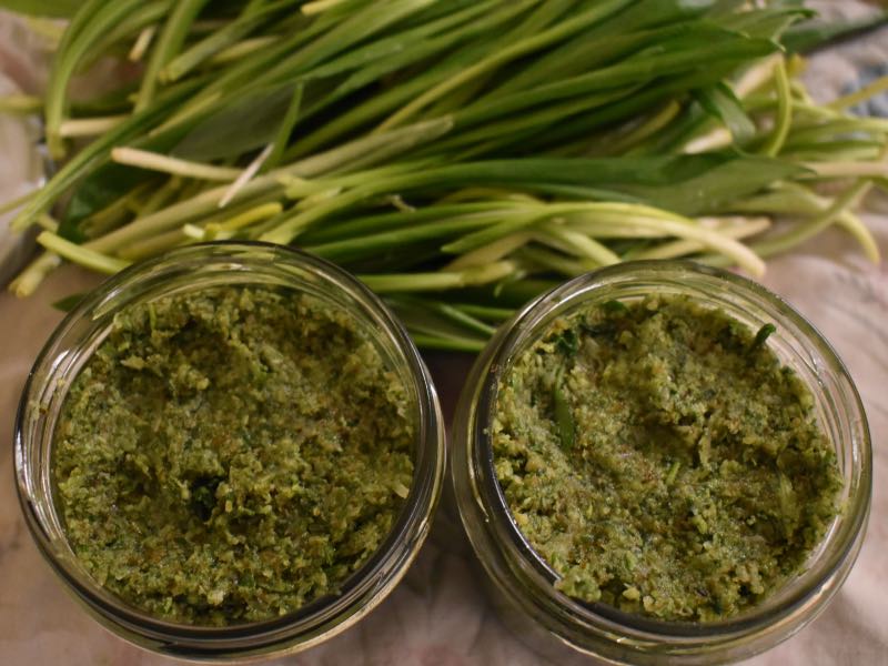 Frühling ins Haus holen mit Bärlauch-Pesto