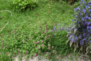 Ideen zur Gartengestaltung