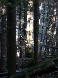 Familienwanderung Oberaudorf